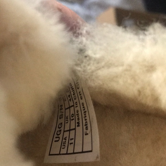 Ugg Slippers - Picture 5 of 6